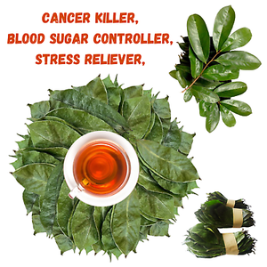 Premium Sousop Graviola Leaves <b>Tea</b> Organic Non Sugar 25 <b>Tea</b> Bags/<b>Box</b> Natural Bulk Export Vacuum Packaging Private Label Made - Product Image 5