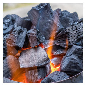 Proveedor de Carbón Vegetal de Madera Dura de Grado Industrial en Empaques a Granel, Exportador de Carbón en Trozos de Larga Duración para Mercados Globales - Product Image 6