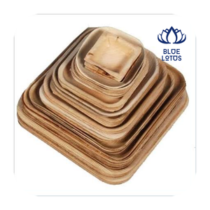 [MEJOR VENTA] |   Platos desechables, compostables y biodegradables de hoja de palma de 10 pulgadas, paquete de 50 unidades, para catering de fiestas, Vietnam - Product Image 1