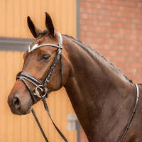 Bridon de cheval en cuir équestre de haute qualité professionnel et durable, personnalisation acceptée, licols de cheval SURGIGYNE