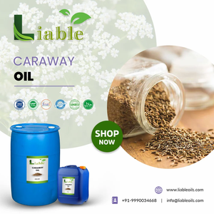 Huile essentielle pure de qualité thérapeutique 120 ml, pressée à froid, résine de graines de carvi avec cardamome pour usage cutané - Product Image 5