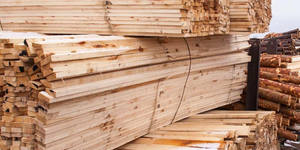 Produit en bois scié à prix très compétitif - Product Image 5