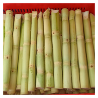 Hot Deal Bevroren Suikerriet Van 99gd Viet Nam Met Zoete Natuurlijke Smaak Bevroren Suikerriet Klaar Om Te Verzenden Voor Sap En Export