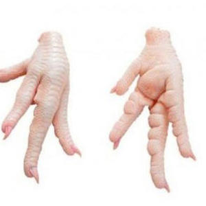 Pieds de poulet frais, produit avicole de haute qualité, soigneusement nettoyés, riches en nutriments, idéaux pour les bouillons et la cuisson à feu doux - Product Image 1