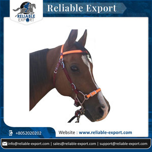 Brida de PVC de caballo inglés ecuestre al por mayor de alta calidad, accesorios personalizados de varios colores de cuero genuino - Product Image 2
