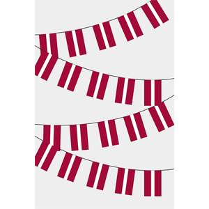 Rectangular Latvia <b>Banners</b> for Party Decorations - Product Image 1