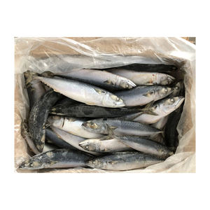Frozen Pacific Mackerel bulk wholesale stock export quality seafood for distributors - Product Image 2