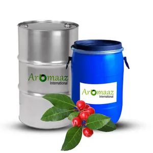 Essentiële Olie Levering Met Aangepaste Verpakking In Aluminium Fles Hete Verkoop Parfum Maken Wintergroene Olie Voor Aroma