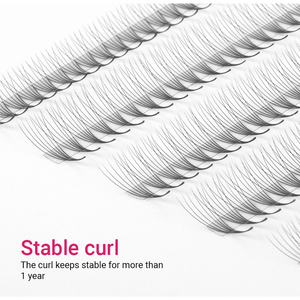 Éventails de promade ultra rapides Fans de promade 20d symétriques Extensions de cils sans cruauté pour les cils Commande en gros de marque privée - Product Image 1