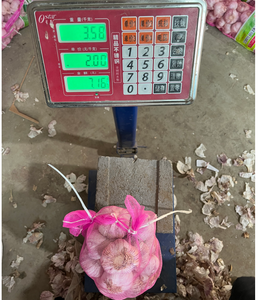กระเทียม<span class=keywords><strong>สด</strong></span>ขนาด5.5ซม. <span class=keywords><strong>3</strong></span>.5กก./ถุงตาข่าย - Product Image 5