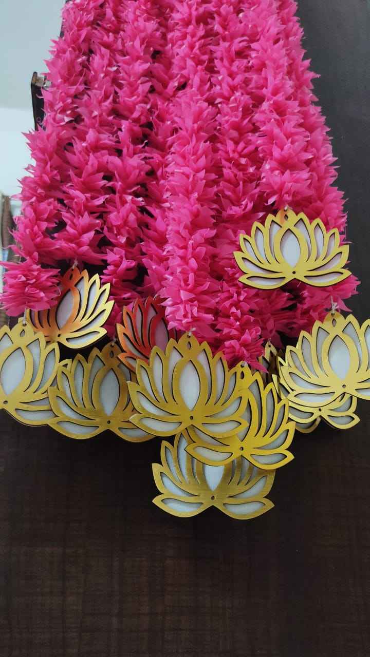 สีชมพูกับดอกบัวสีขาว