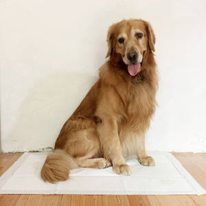 Gran oferta, 60x60, 60x90, almohadillas impermeables para cachorros, alfombrillas absorbentes desechables de <span class=keywords><strong>Walmart</strong></span>, almohadillas para perros de secado rápido, almohadillas para mascotas al por mayor - Product Image 6