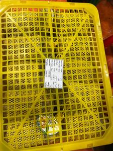 Fruta Longan fresca de alta calidad al por mayor para restaurantes al por menor y exportación con gran sabor y aroma - Product Image 3