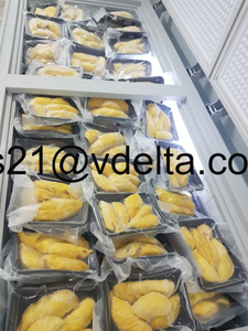 DURIAN MONTHONG CONGELADO DE VIETNAM AL POR MAYOR, ENVASADO AL VACÍO IQF, DURIAN MADURO Y DULCE - Product Image 5
