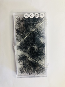 Ventilateurs de volume préfabriqués 8D 9D 10D de haute qualité Extensions de cils en soie coréenne avec base pointue et boîte coréenne personnalisable - Product Image 4