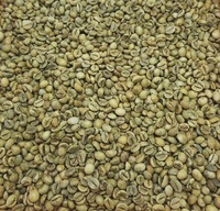 Café Vert Robusta du Vietnam de Haute Qualité, Récolte Fraîche, Lavé et Non Lavé, Marque Phalco Vietnam, Sacs de Jute de 60 kg au Meilleur Prix