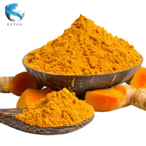 Nutrient turmeric powder extracted 100% from fresh turmeric with high profit and high quality spices from Vietnam