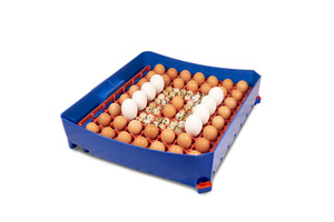 Máy ấp trứng chuyên nghiệp borotto Lumia 56-Cách nhiệt tiên tiến, công nghệ kháng khuẩn, công suất cao, sản xuất tại Ý - Product Image 4