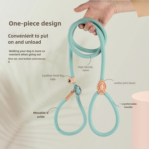 Readymade pembe butik naylon halat XXS Pet yürüyüş kayma benzersiz kurşun köpek eğitim P uzun gösterisi tasma kırmızı kordon kayma tasma döngü - Product Image 3