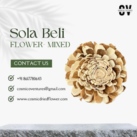 Fleurs Sola Beli Écologiques Éternelles de Haute Qualité Faites à la Main, Décoration Désodorisante Romantique pour Remise de Diplôme et Fête des Pères