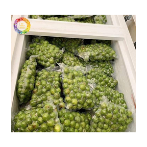 ผลไม้ดราคอนโทเมลอนแช่แข็งแบบ IQF สำหรับทำซุปและเครื่องดื่ม ผลไม้ดราคอนโทเมลอนแช่แข็งแบบ IQF สำหรับทำอาหาร - Product Image 3