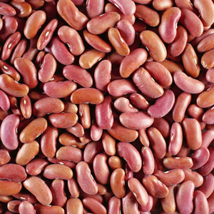 Frijoles rojos naturales frescos envasados a granel, suministro directo de fábrica, frijoles rojos listos para compradores globales - Product Image 4