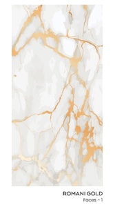 Surface de sculpture carrelage en porcelaine de haute qualité 60x120cm, nouvel arrivage indien, dernier modèle, meilleur prix de porcelaine indienne - Product Image 2