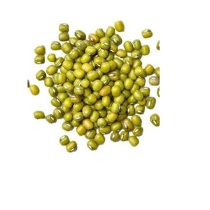 ถั่วมุงเขียวธรรมชาติ / ถั่วมุงทั้งตัวมีจําหน่ายในปริมาณมาก - Product Image 5