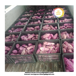 Ñame congelado IQF corte fresco hecho en Vietnam limpio procesado y empaquetado para servicio de alimentos supermercado y exportación - Product Image 2