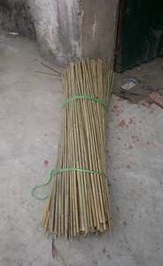 Bastón de bambú-Bastón de estaca de bambú recto seco natural para construcción con suministro de gran tamaño a granel de Vietnam - Product Image 6