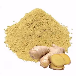 Ginger Root Powder from Indonesia is made with the Best Selected Ginger Root