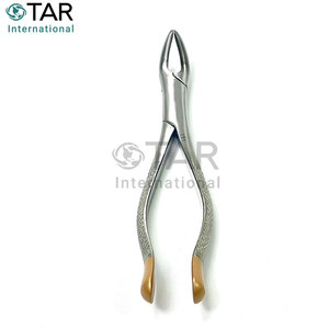 Fórceps de extracción dental #151, fórceps de extracción universales de acero inoxidable Premium, instrumentos médicos inferiores premolares - Product Image 6
