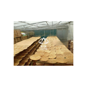 Esteras redondas de jacinto de agua con estilo, decoración Bohemia Vintage única orgánica para el hogar, caja empaquetada para sala de estar, trae naturaleza al interior - Product Image 1