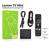 Reproductor Multimedia Inteligente Lemon TV Mini H618 Android 12 2GB 16GB 4K 5G WIFI6 BT 5.4 IATV 1pc MOQ Logotipo Personalizado TV CMS Gestión ODM Box