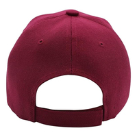 Gorra de Béisbol Unisex de Diseño Personalizado con Logotipo, de Alta Calidad, Estilo de 6 Paneles, Deportiva, Transpirable, Impermeable, 100% Poliéster