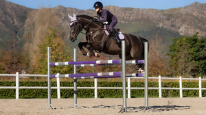 แผ่นรองอานม้าภาษาอังกฤษแบบพรีเมี่ยมแผ่นบุขนแกะนุ่มทนทานเย็บชั้นนอกน้ำหนักเบาระบายอากาศได้ดี - Product Image 6