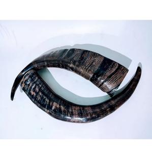 Cuerno de búfalo Natural pulido hecho a mano, respetuoso con el medio ambiente para joyería, mango de cuchillo, taza y decoración, estilo Animal - Product Image 3