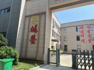 NOUVEAU T-shirt surdimensionné unisexe 260gsm 100% coton T-shirt avec logo personnalisé délavé de haute qualité pour hommes - Product Image 6