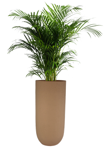 Mini plantas artificiales en maceta, suculentas verdes para decoración de escritorio del hogar, pequeñas decoraciones de plantas de interior - Product Image 3