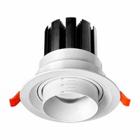 Projecteur LED encastré Koray C120 à zoom, lumière de croissance pour plantes à spectre complet, pour vitrine, éclairage intérieur