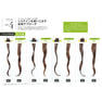 JBPQMastering Permanentes capillaires infusées à la cystéine pour cheveux abîmés, explorant les designs ondulés - Product Image 2