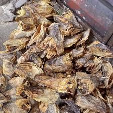 Têtes de poisson lyophilisées, faibles en glucides et sans acides gras trans, 10 kg disponibles - Product Image 3