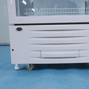 <span class=keywords><strong>Refrigerador</strong></span> <span class=keywords><strong>de</strong></span> <span class=keywords><strong>Laboratorio</strong></span> Biobase BPR-5V238 <span class=keywords><strong>de</strong></span> 238L con Puerta <span class=keywords><strong>de</strong></span> Vidrio para Hospital, <span class=keywords><strong>Precio</strong></span> <span class=keywords><strong>de</strong></span> Fábrica en China, 2-8°C ℃   <span class=keywords><strong>Refrigerador</strong></span> <span class=keywords><strong>de</strong></span> <span class=keywords><strong>Laboratorio</strong></span> para <span class=keywords><strong>Laboratorio</strong></span> - Product Image 6