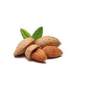 Organic <b>Almond</b> Nuts, <b>Almond</b> Nuts Suppliers & <b>Almond</b> Nuts. - Product Image 2