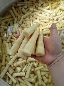 High Quality Preserved Bamboo Shoots | Fresh, Brined, Sliced or Whole, Ready for Export - Product Image 2