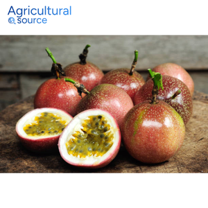 Fruit de la passion de qualité supérieure-Riche en antioxydants et nutritions Fruit de la passion-Prêt pour le jus frais-De l'usine VietNam - Product Image 1