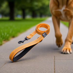 Guinzaglio per Cani in Neoprene con Tripla Riflettività e Motivo a Serbatoio per il Comfort e la Visibilità dell'Animale Durante le Passeggiate - Product Image 3
