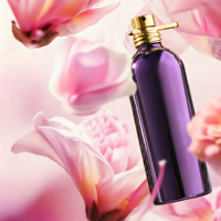 Parfum Cologne Boisé Ambré Longue Durée Inspiré des Niche