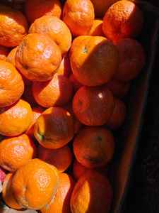 Fruits de Naranjies Frais Biologiques Premium de France à Vendre - Product Image 6