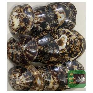 COQUILLES DE LIMPETTES LISSES ET BRILLANTES FABRIQUÉES À LA MAIN AU VIETNAM POUR L'ART DE BIJOUX, LA CONCEPTION EN RÉSINE ET LES MÈRES ALLAITEUSES - Product Image 2